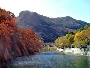 新澳天天开奖资料大全旅游团，星空小说